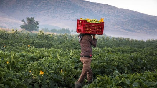 بشرى للمزارعين في لبنان