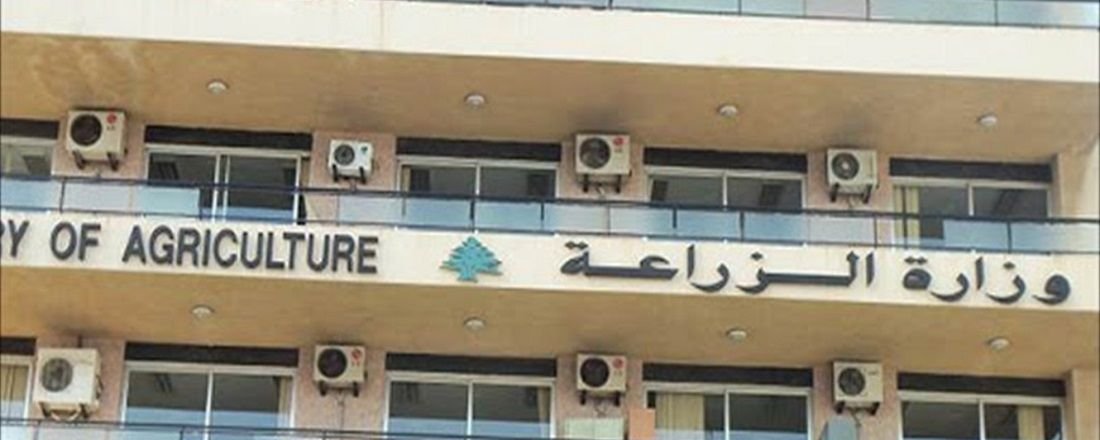 وزارة الزراعة في 100 يوم: إصلاح شامل يعيد القطاع إلى الواجهة الوطنية